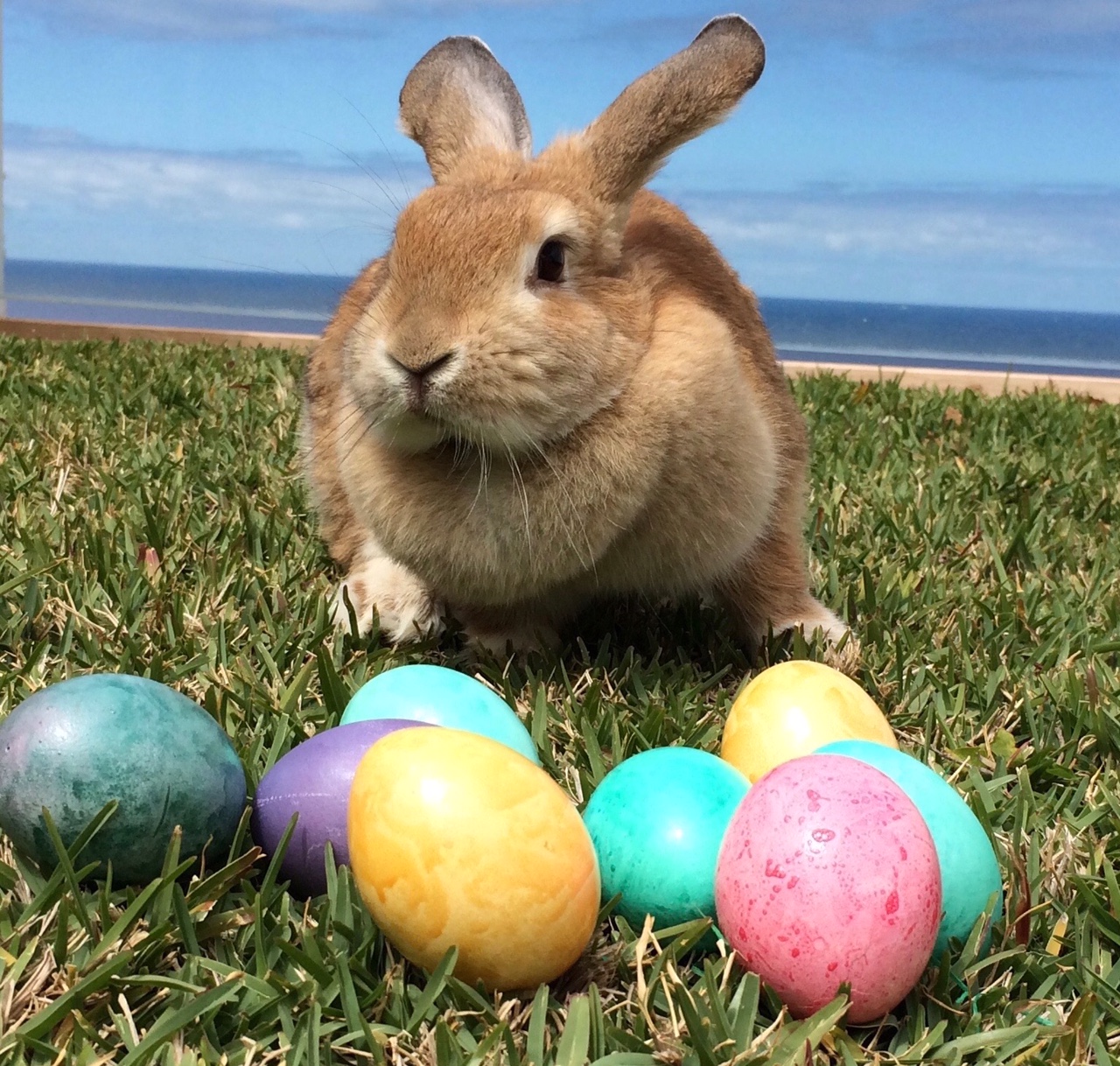 Tauchen auf Teneriffa zu Ostern