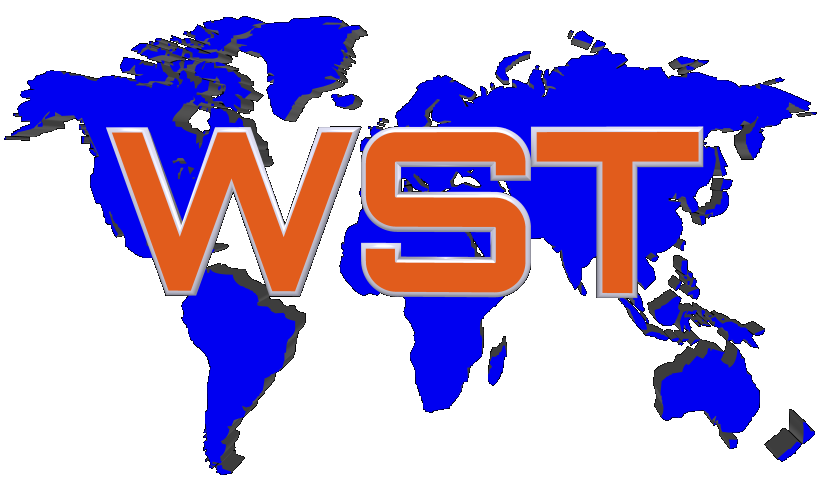 Webmaster Service Tenerife